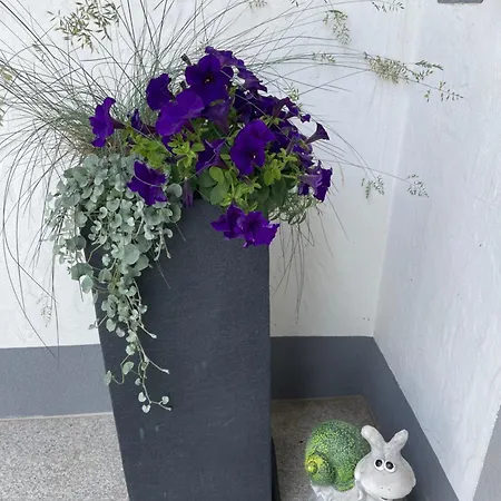 Hébergement de vacances Haus Im Gruenen