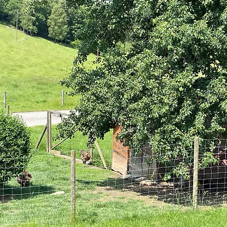 Haus Im Gruenen Bad Zell