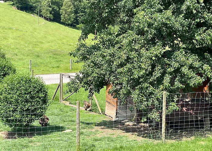 Haus Im Gruenen Bad Zell